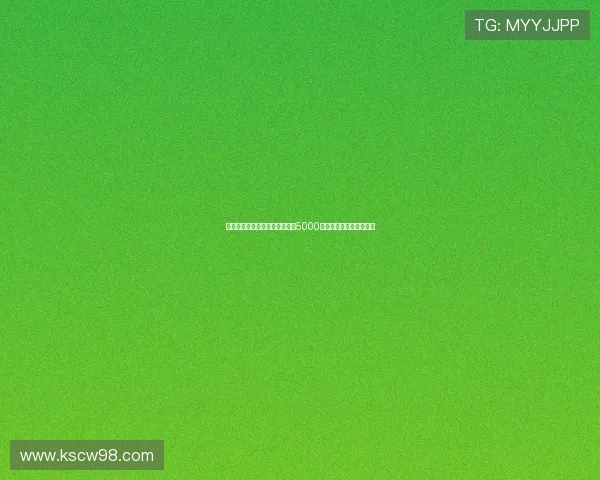 德天空：斯图加特为施蒂勒标价5000万欧曼联已关注这名新星